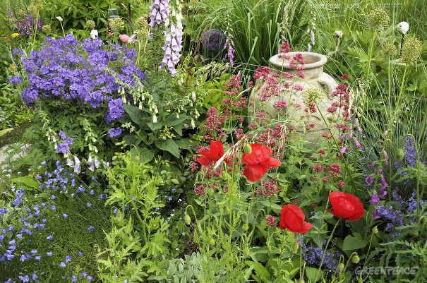 繽紛的花圃可能變為蜜蜂美麗的墳墓。綠色和平首次檢驗歐洲各地的觀賞植物。其中，79% 的植栽都含有歐盟已暫時禁用的蜜蜂殺手 - 新尼古丁類農藥。