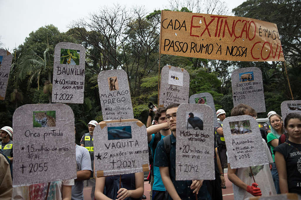 9月20日巴西聖保羅（São Paulo）青年以行動支持氣候罷課，全巴西有65個城市參與，要求政府為氣候正義守護亞馬遜。