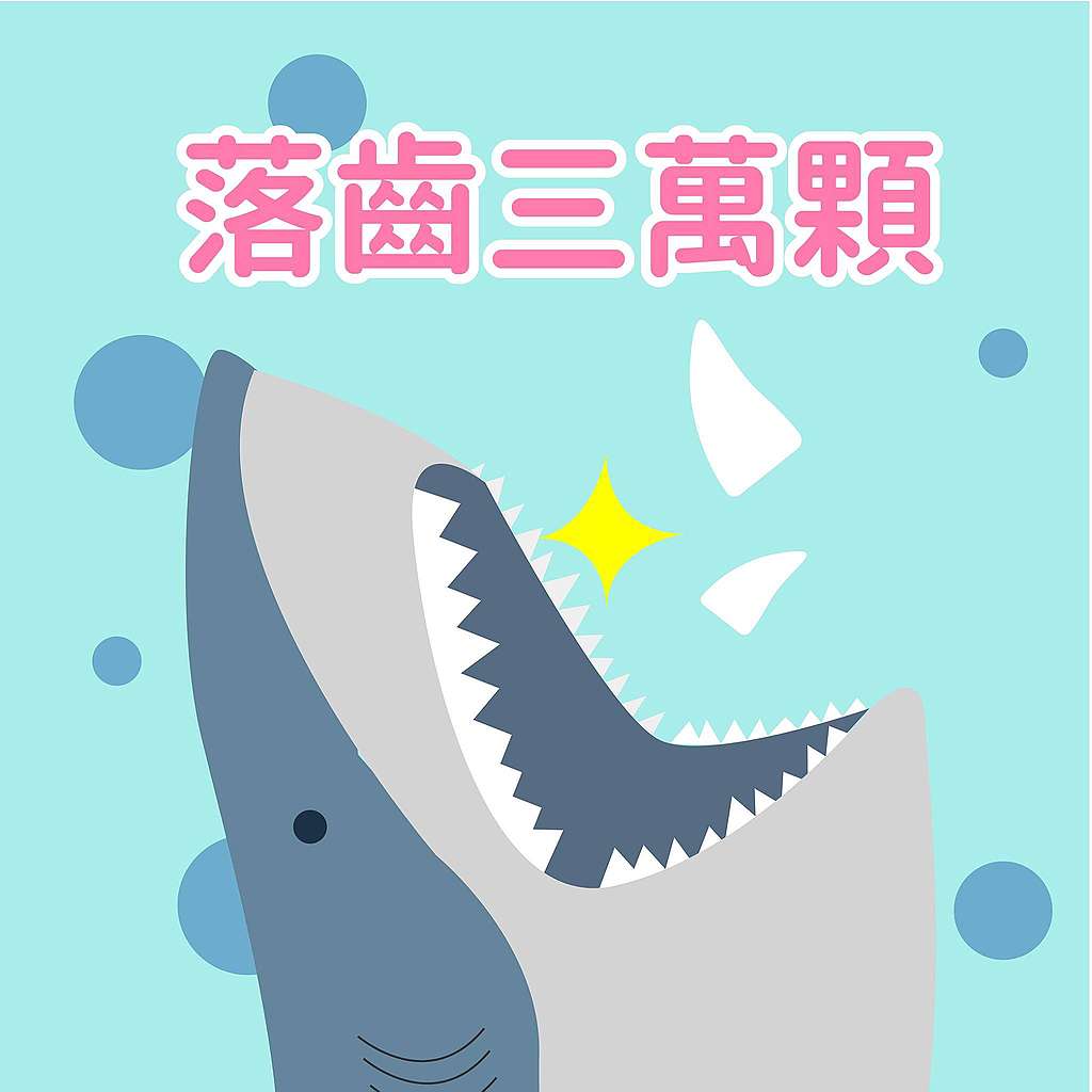 鯊魚趣味小知識：牠一輩子都在換牙！鯊魚一生都能更新或替換牙齒（不怕蛀牙真好啊QQ），不同種類的鯊魚替換週期略有不同，有些鯊魚一生中可以換超過三萬顆牙齒。