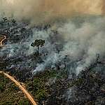 巴西亞馬遜毀林，創十年新高