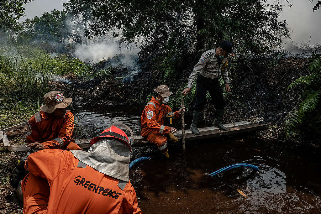 綠色和平印尼辦公室的林火消防隊（FFP）進入加里曼丹中部協助滅火。