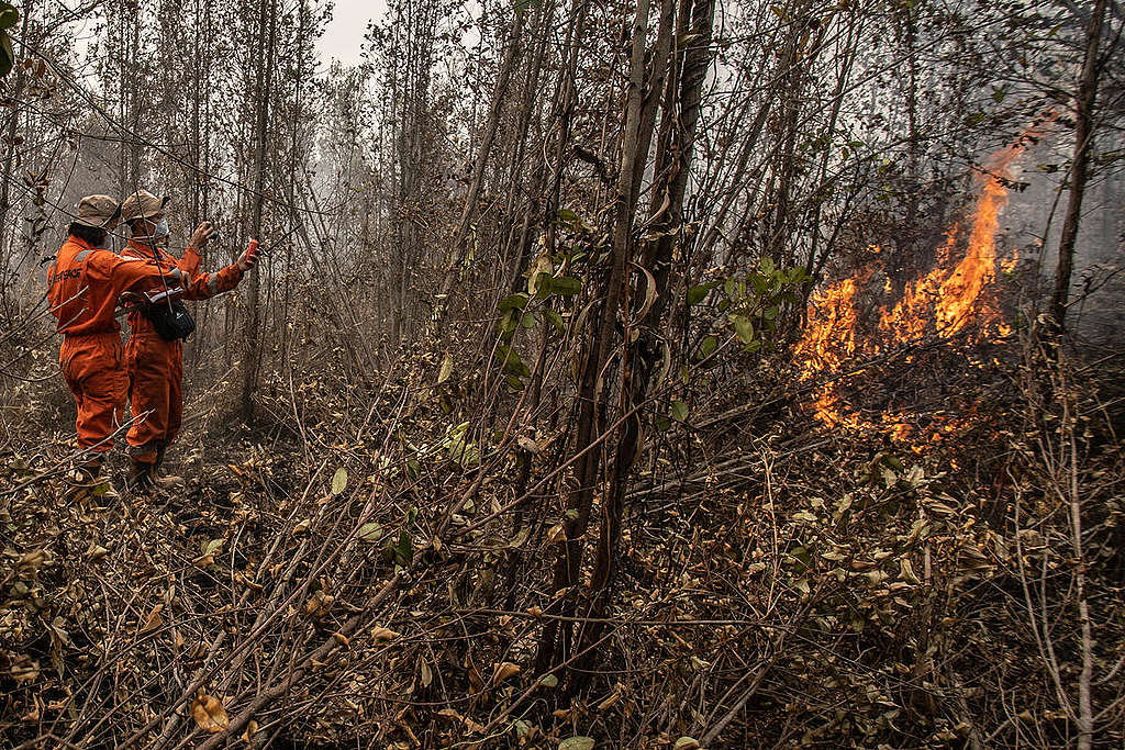 綠色和平印尼林火調查團隊，前往受災地點進行記錄與調查。