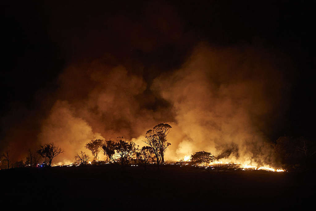 澳洲新南威爾斯州的超級大火發生於雪山一帶的唐巴蘭姆巴小鎮（Tumbarumba）郊區，大火規模佔60萬公頃。