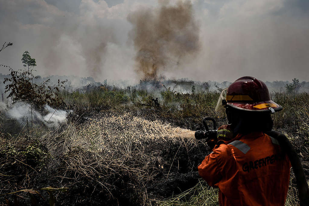 綠色和平印尼辦公室的林火消防隊（FFP）於加里曼丹中部協助滅火。