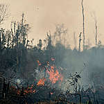 印尼Sumatra森林大火