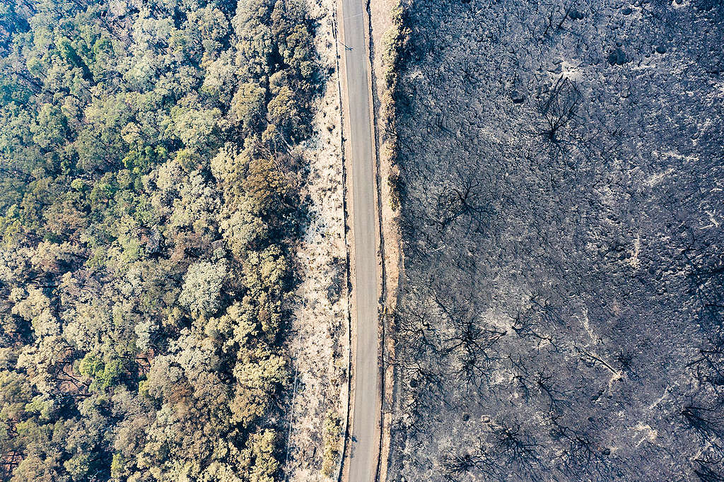 新南威爾斯州袋鼠谷（Kangaroo Valley）大火過後，航拍攝於1月4日，對比大火前後景象。