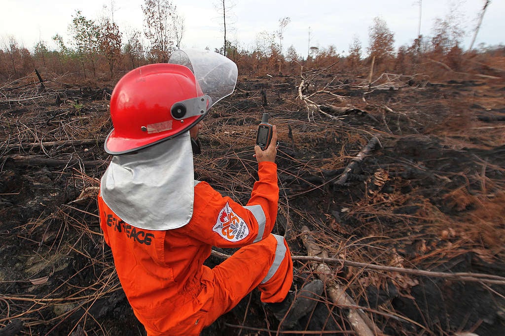 綠色和平印尼辦公室的林火消防隊（FFP）於受災現場進行調查與記錄。