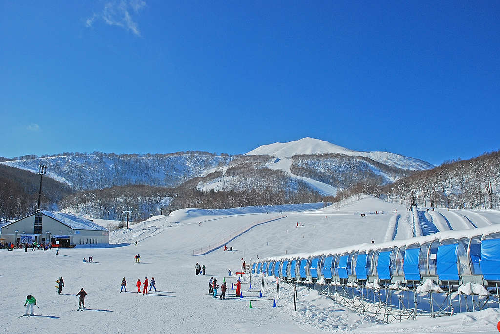 過去擁有鬆軟白雪的北海道，如今也因暖冬影響雪量，許多慕名而來滑雪的遊客，也開始感到擔憂。