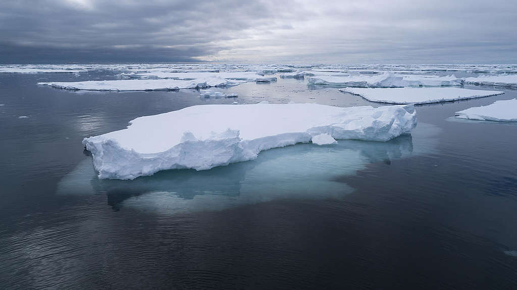 北極的浮冰 © Christian Åslund / Greenpeace