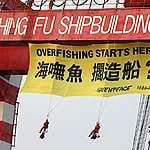 航遍世界推動環保工作的綠色和平希望號，今天於全臺最大遠洋漁船造船廠進行直接行動，10位行動者於造船廠以身懸掛「攏嘸魚，擱造船？」15公尺布條