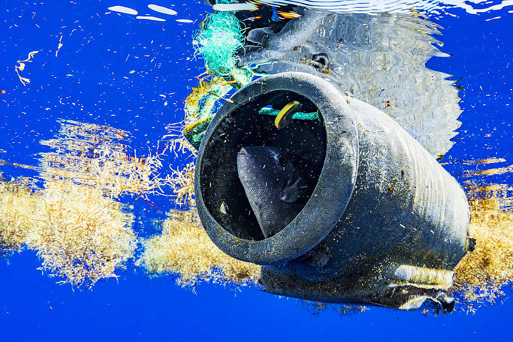 海洋中的塑膠垃圾已嚴重侵擾生態健康。