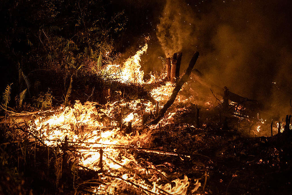 2019年8月，印尼加里曼丹中部發生森林大火。