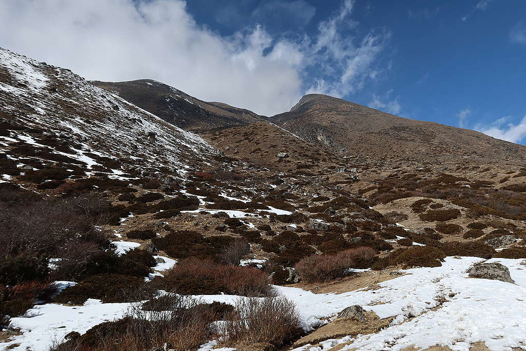 超過4,500公尺的高山區域，長年積雪消融得快，四處可見褐紅色的灌木叢和裸露的植被。
