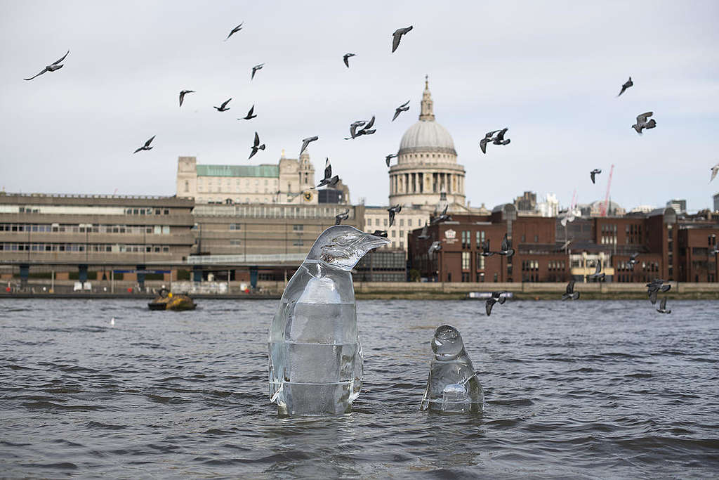 於英國倫敦展示的「消失的企鵝」冰雕行動。