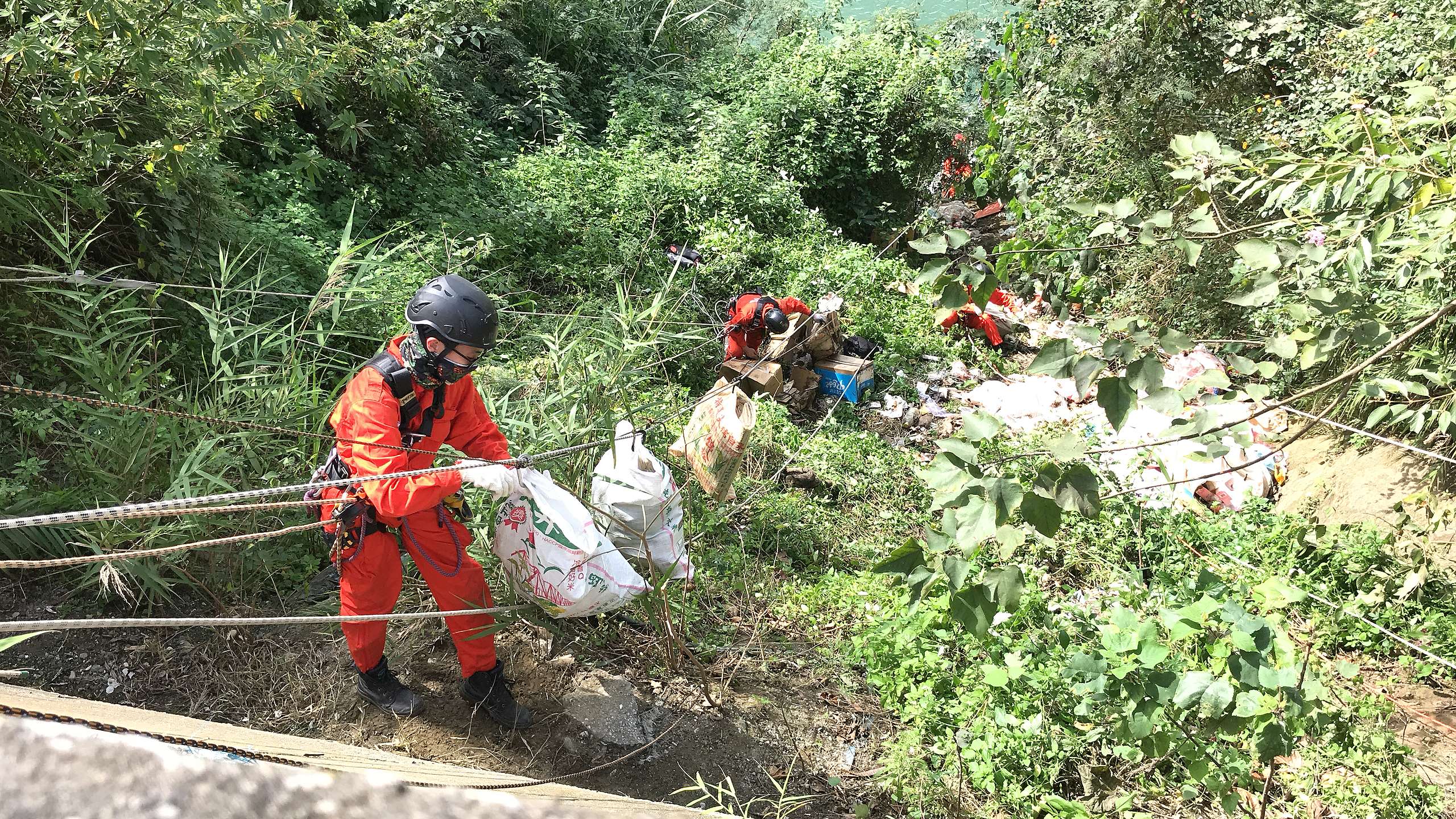 綠色和平攀爬志工沿著山坡垂降繩索並撿拾垃圾，再以拖拉系統將裝有垃圾的米袋拉上地面。