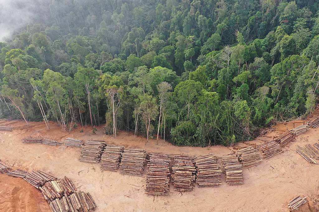 2018年，馬來西亞位列全球第六大森林縮減最嚴重的國家。圖為當地雨林被伐木破壞的情況。