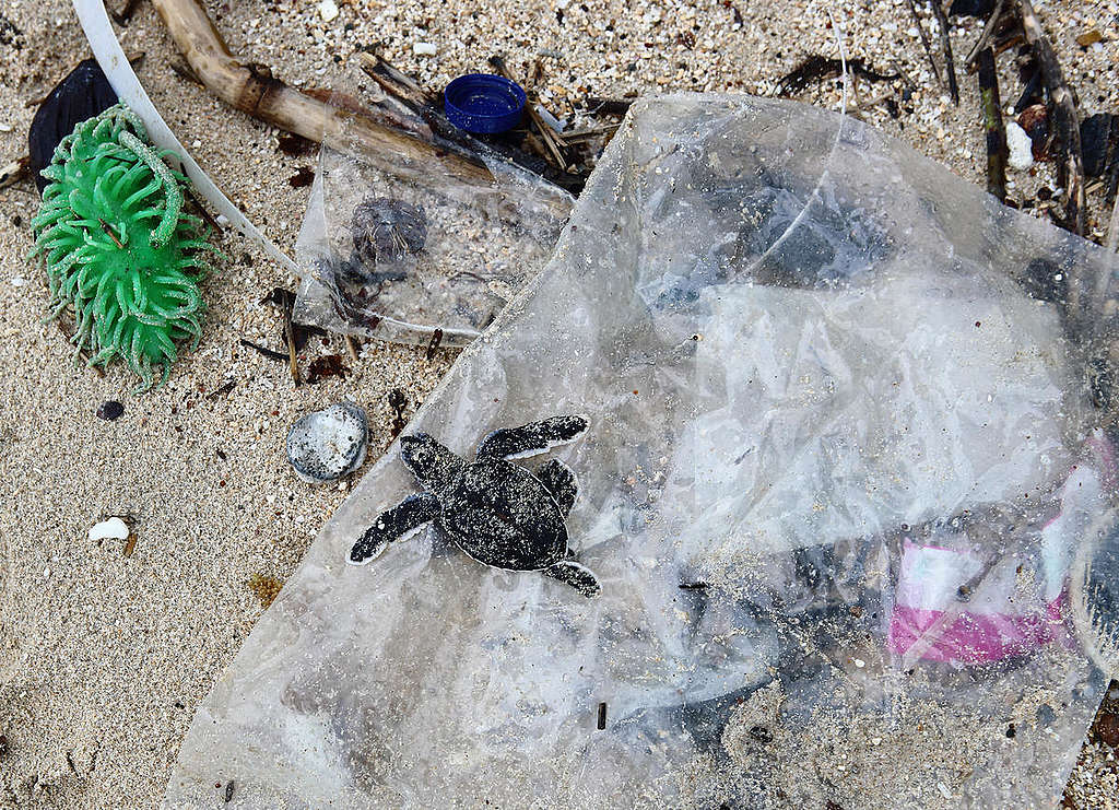 塑膠垃圾進入生態環境，而且難以分解，必須從源頭減量以及找到永續的替代途徑。