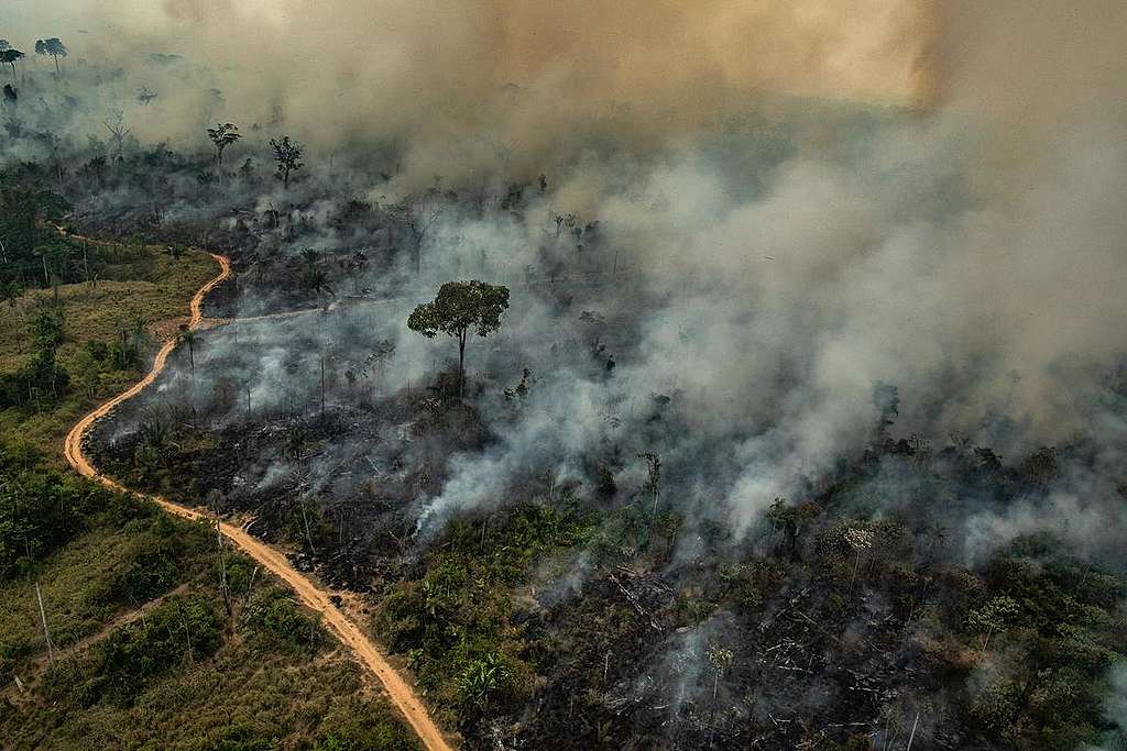2019年8月23日，綠色和平調查團隊空拍紀錄亞馬遜雨林遭受大火焚燒實景。