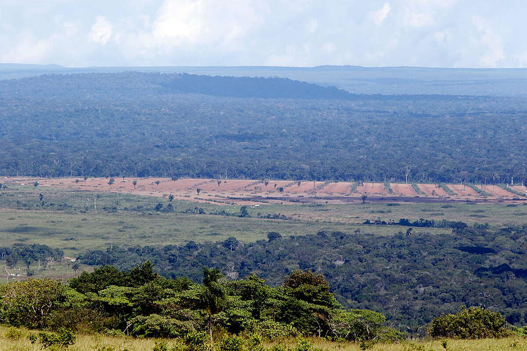 巴西Ricardo Franco州立公園一景，可見當中大幅被清空的土地。