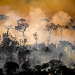 火燒亞馬遜！世界最大熱帶雨林及濕地陷危機，巴西總統竟否認