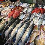 您吃的海鮮符合永續原則嗎？10+1道臺灣常見海鮮料理大揭密