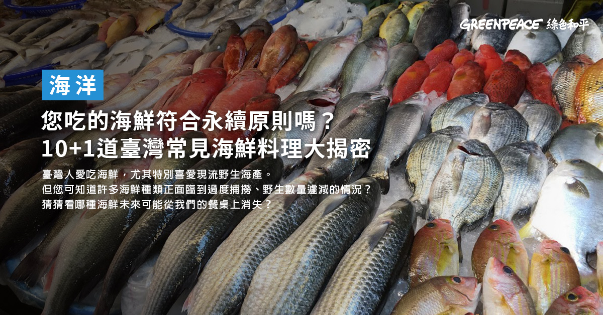 您吃的海鮮符合永續原則嗎 10 1道臺灣常見海鮮料理大揭密 Greenpeace 綠色和平 臺灣