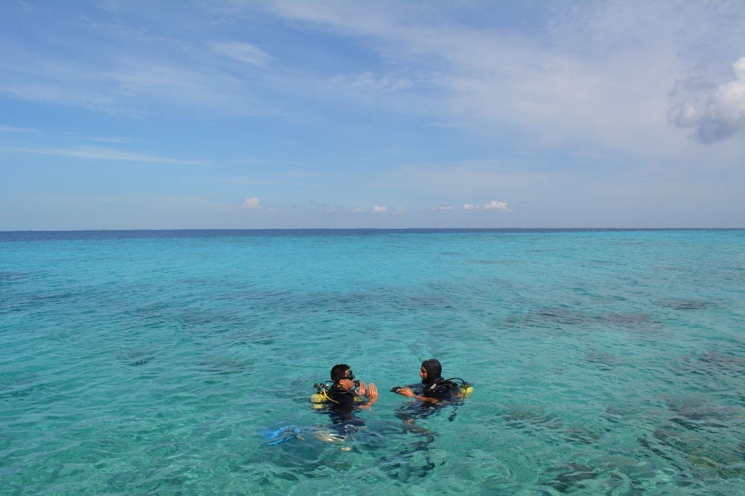 鍾孟勳在古巴豬玀灣潛水，親睹湛藍繽紛的水下風景，也讓他感嘆臺灣的海洋真的需要更多保護。© Tommy Chung / Greenpeace