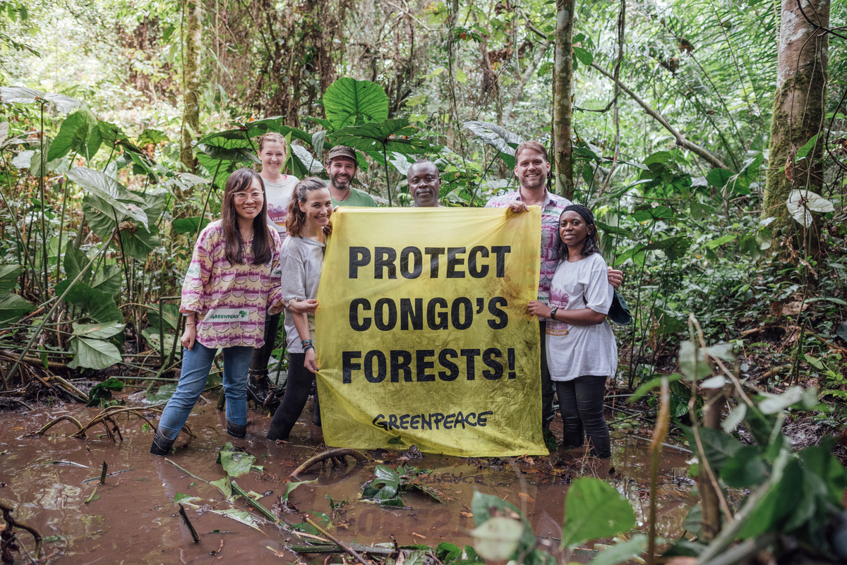 綠色和平森林專案團隊在科學家發現剛果盆地森林內的泥炭地後，與當地社區合作，展開「守護剛果雨林（Protect Congo’s Forests）」行動，力倡政府與企業停止砍伐、開發林地，以維持森林儲碳力及生物多樣性。© Kevin McElvaney / Greenpeace