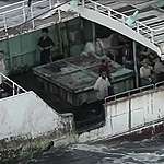 最新《海上強迫勞動》報告 臺灣遠洋漁船再涉其中，外籍漁工人權保障聯盟籲行政院提跨部會解方