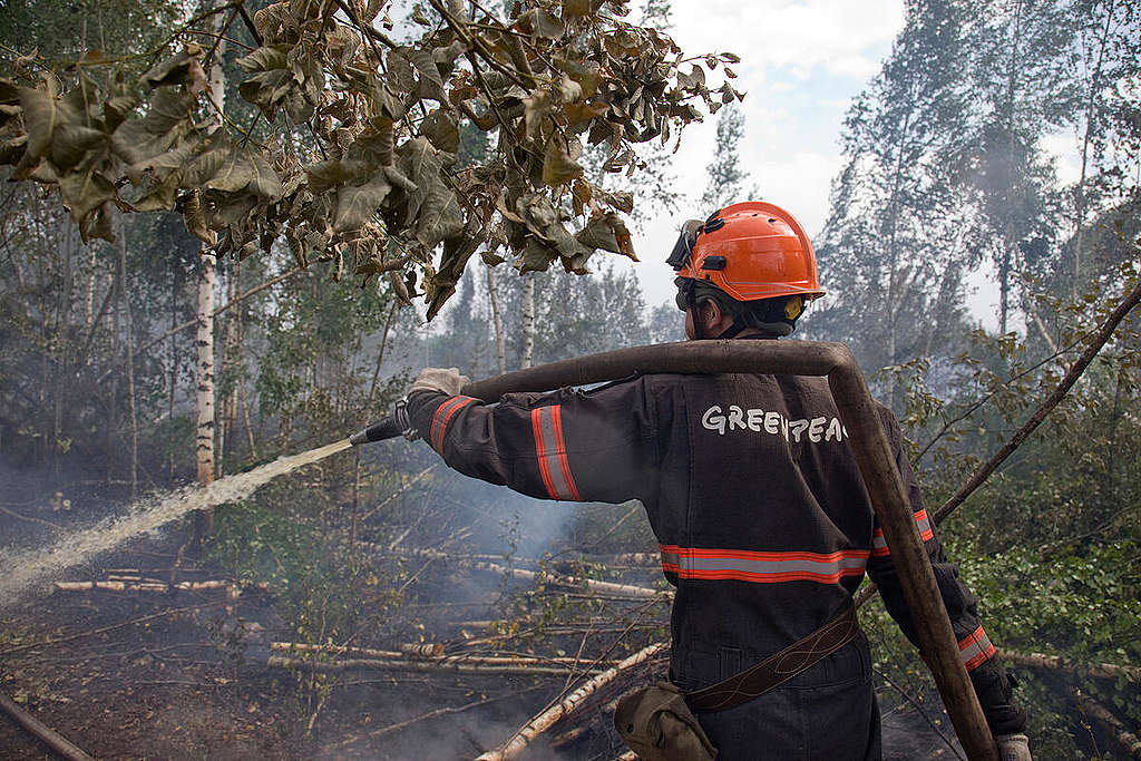 綠色和平俄羅斯辦公室除組織消防隊協助滅火工作，也向俄羅斯政府提出建議，要求當局訂定綠色政綱，並組織更有效的森林和自然防火系統。