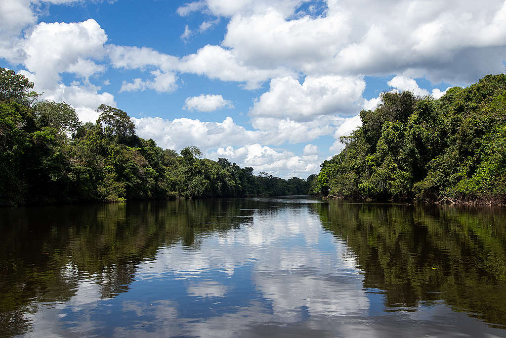 亞馬遜河是世界上流量、流域最大、支流最多的河流，在河兩岸孕育了茂密的亞馬遜森林，是全球生物多樣性最豐富的生態系統之一。© Projeto Mantis