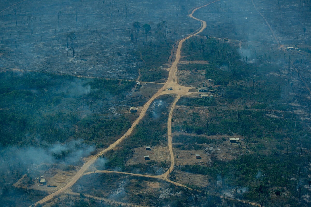巴西亞馬遜地區的毀林面積連續三年持續擴大，2021年1月至5月間的伐林量比起去年同期增加了14.6%，而6月則是亞馬遜森林自2007年以來，起火點數量最多的月份。© Christian Braga / Greenpeace