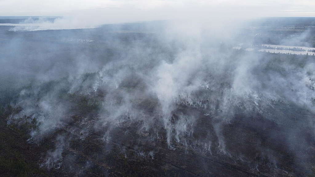 2021年夏季因異常高溫與人為焚燒森林，俄羅斯境內的林火面積已超過往年紀錄，其中近八成發生在位於西伯利亞的雅庫特共和國，因燃燒面積太大，且同時發生多起火災，使得滅火行動變得複雜且困難。