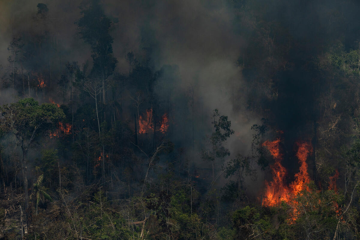 綠色和平巴西辦公室、亞馬遜觀察組織與氣候觀測站組成團隊，於2021年9月13日至17日深入亞馬遜森林，以空拍記錄下毀林罪證。