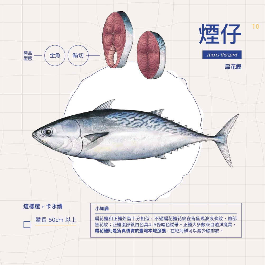 綠色和平推出的《永續海鮮選購手冊》中，煙仔是其中一種對環境相對友善的魚種。