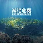 滅絕危機：臺灣海洋生物保育現況與建議