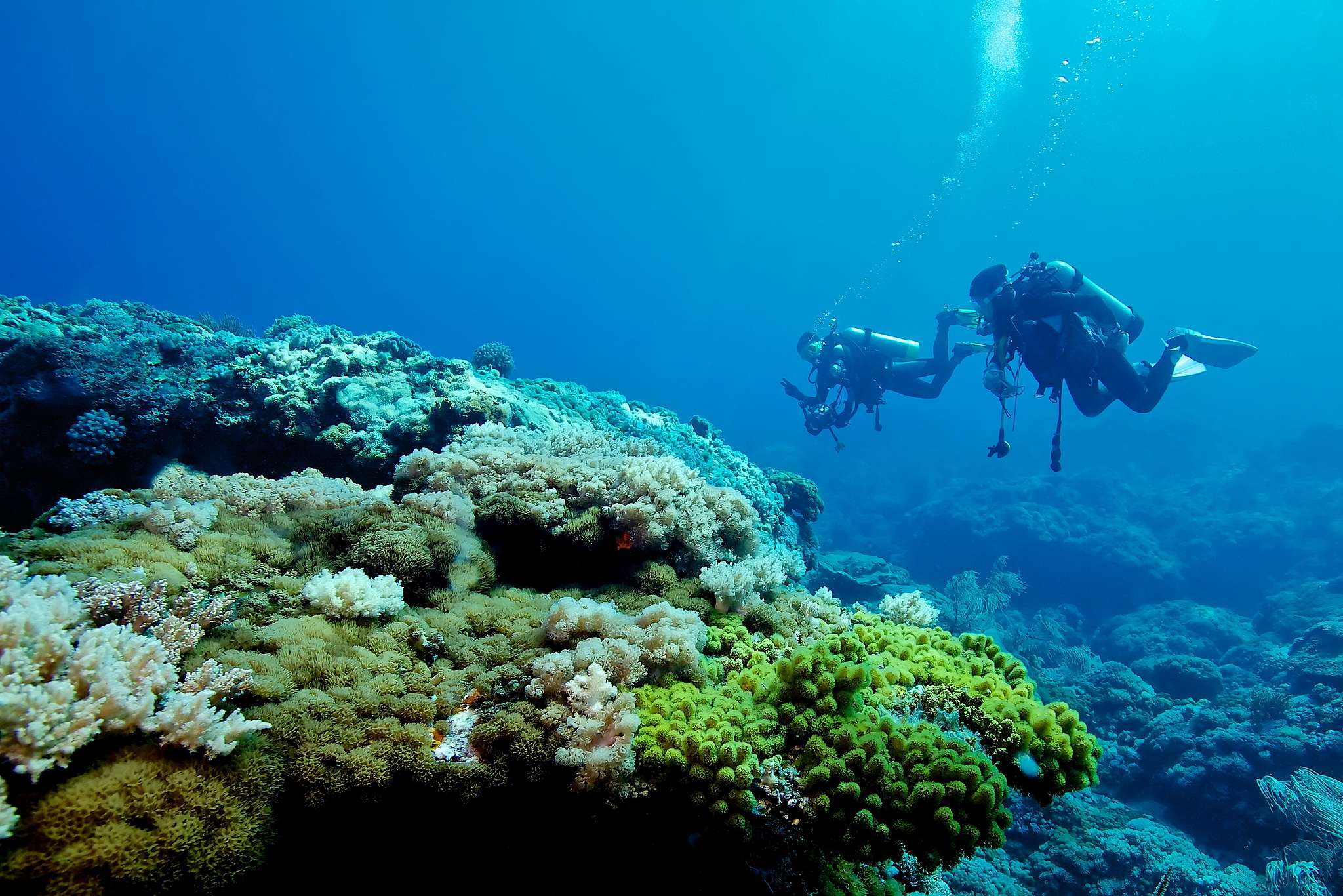 臺灣綠島擁有美麗珊瑚礁，是潛水勝地，遊客更應該愛惜珍貴生態。