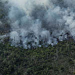 2021年9月，綠色和平巴西辦公室深入亞馬遜森林監測毀林災況，見證位於巴西朗多尼亞州維洛港地區的森林，因工業化畜牧的擴張，遭到砍伐與焚毀。