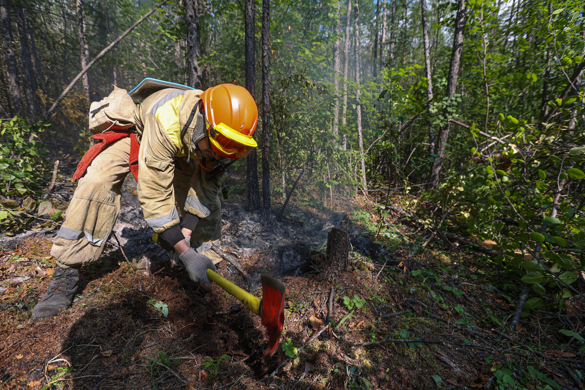 消防志工協助清除被燒毀的樹木和灌木叢，建設防火線。