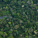 喀麥隆境內擁有非洲第二大森林，僅次於剛果雨林，具有豐富的生物多樣性。