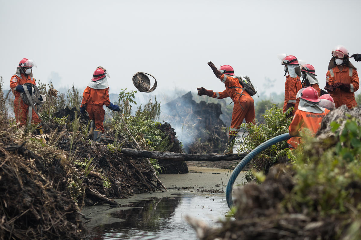 2018年，綠色和平消防志工隊來到印尼西加里曼丹省的泥碳地，進行滅火與火場調查工作。