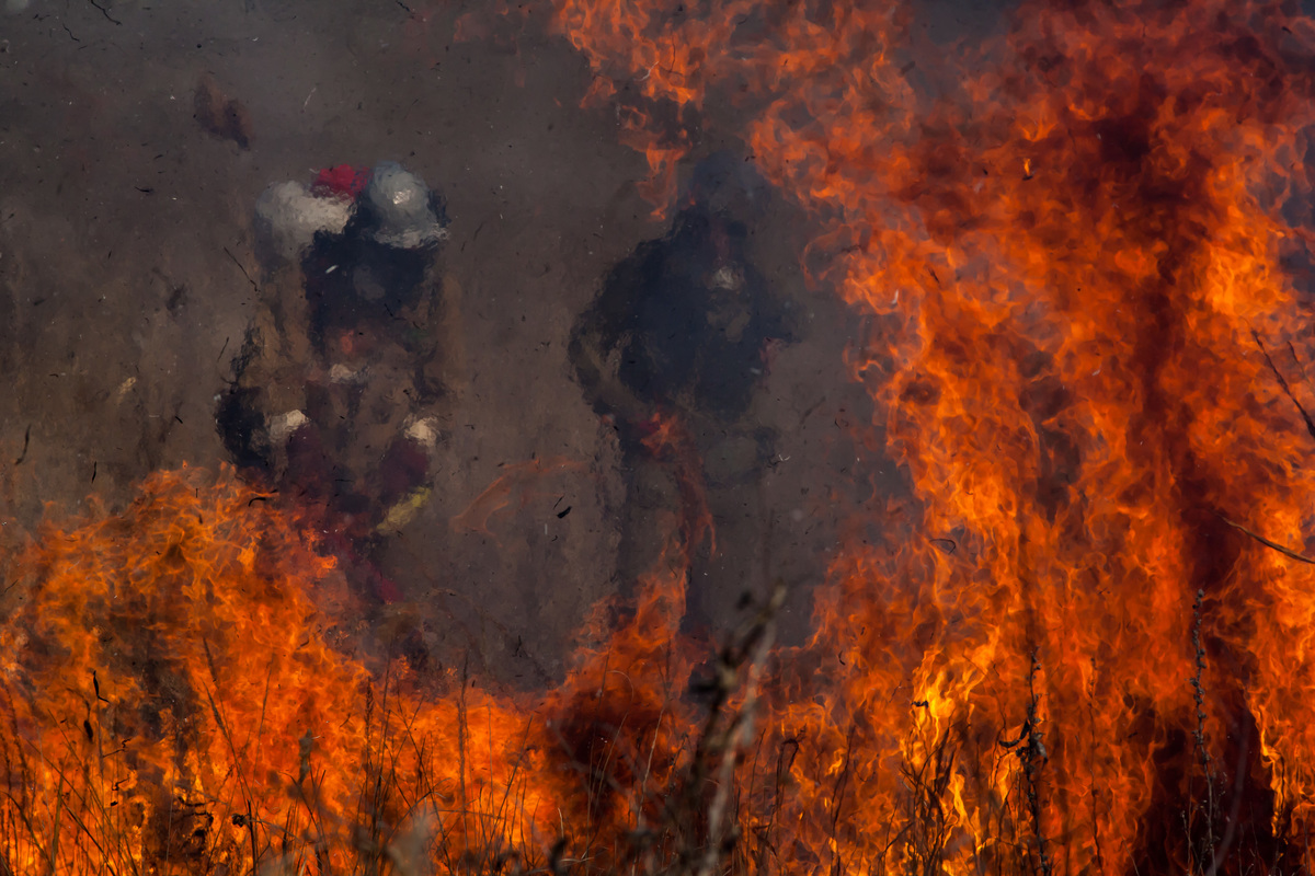 綠色和平消防志工正試圖撲滅俄羅斯阿斯特拉罕保護區的草原大火。在此地區，近九成的林火是因人為燃燒乾草造成。