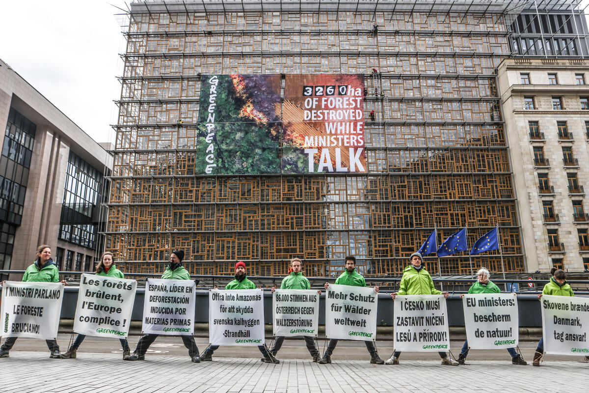 綠色和平行動者來到歐盟總部外，要求歐盟環境部長們制定足以守護森林的環境法案。在2015年至2020年間，全世界每年損失1,020 萬公頃森林，主要肇因於工業化農業的擴張，歐洲則是相關商品的主要進口市場之一。