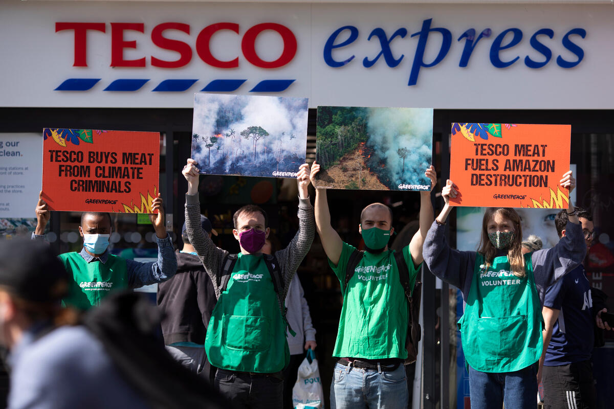 2022年3月，綠色和平英國行動者在連鎖超市TESCO外進行倡議，要求該企業將涉及毀林行為的肉類生產商從其供應鏈中剔除。 並呼籲TESCO在2025年之前，用平價的植物性食品取代至少一半肉類產品。