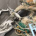 台東富山護漁區驚見奄奄一息海龜被魚網纏繞，傷口深可見骨
