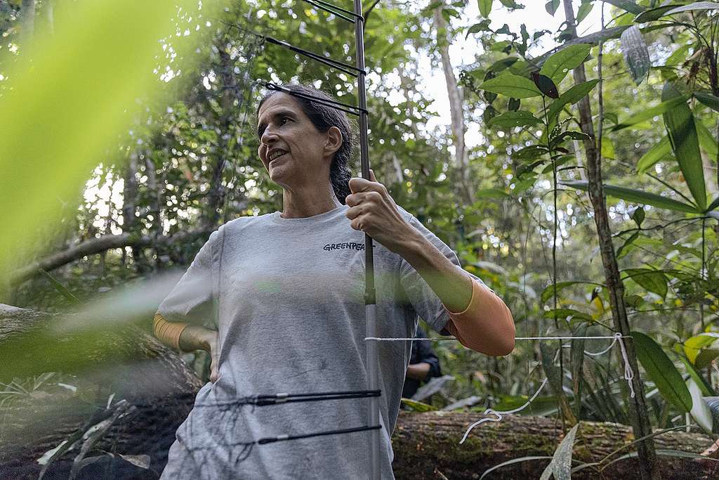 生物學家Camila Ribas認為，通過研究鳥類的演化，可以了解亞馬遜地區環境的改變趨勢。