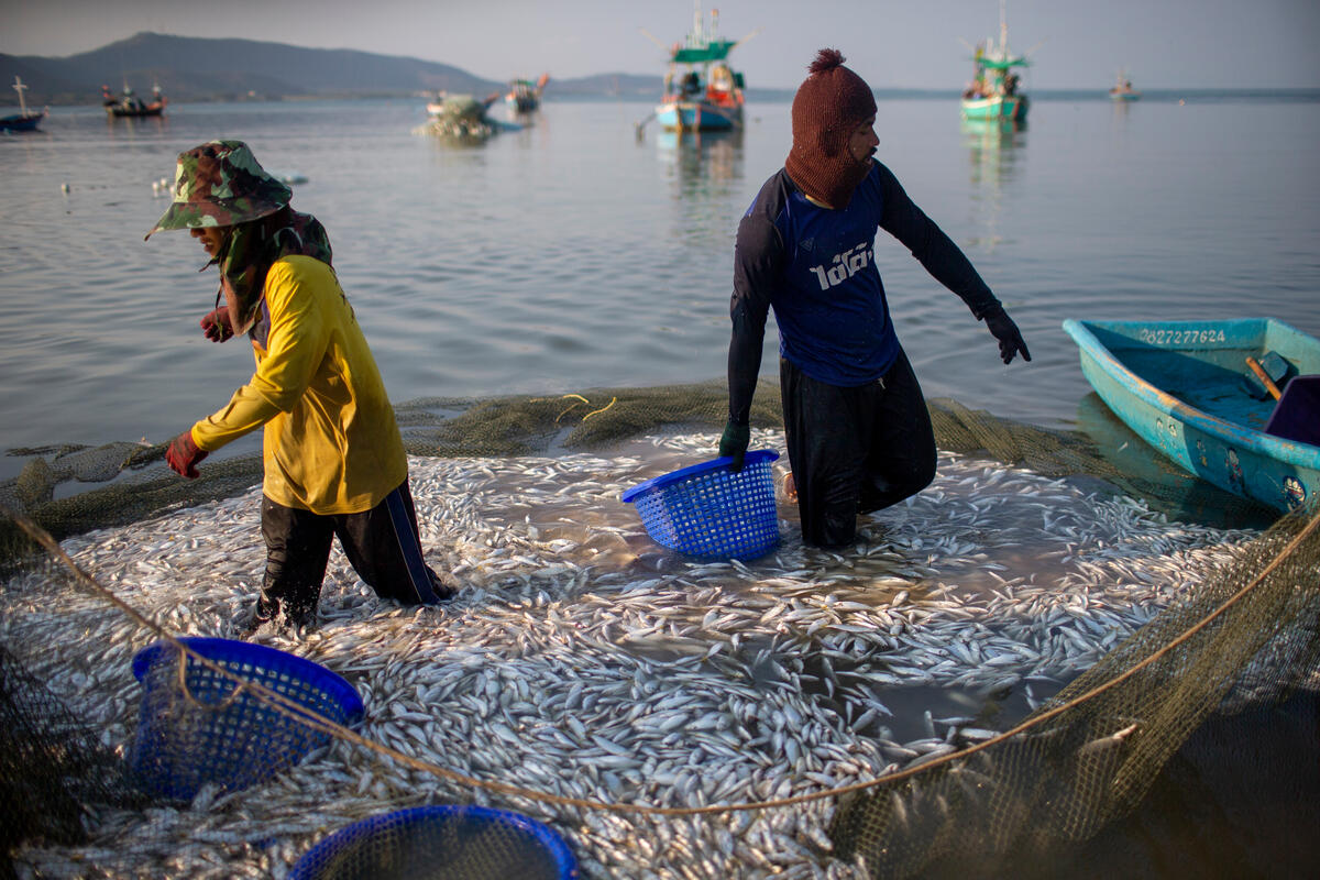 泰國Khan Kradai Bay的當地居民決定以永續發展的方法捕魚。