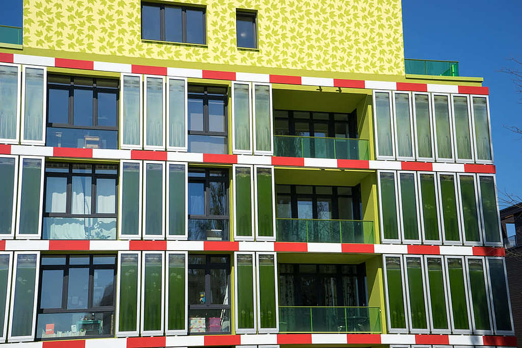 德國BIQ大樓外牆的綠色裝置，是能夠產生再生能源的藻類，可說是棟名符其實的「綠色大廈」。