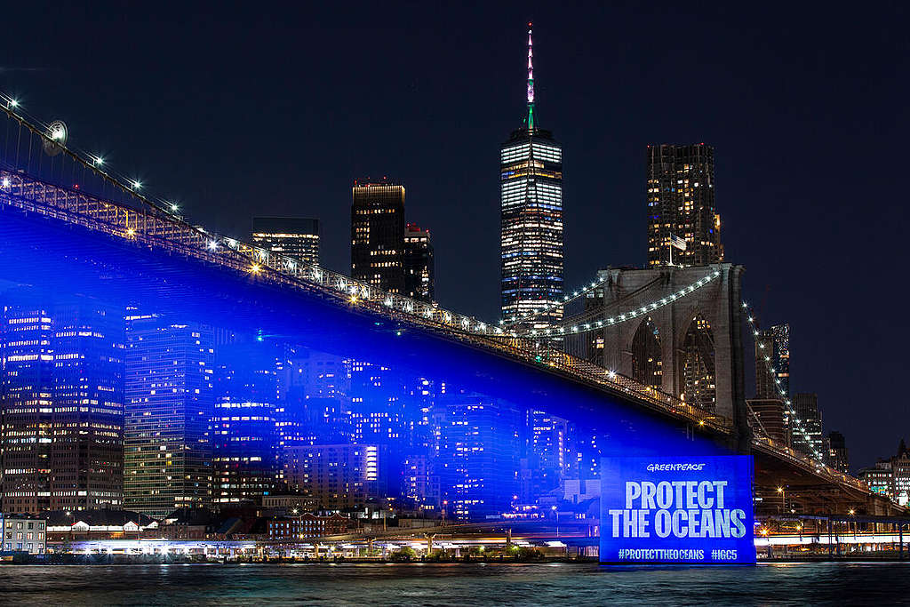2002年8月14日，綠色和平團隊在《全球海洋公約》第五次協商會議前一天，於布魯克林大橋上投影短片，向各國代表團和現場民眾表達「立即保護海洋！」