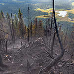 俄羅斯科米共和國境內的國家森林遭遇祝融之災，大片森林被焚毀。